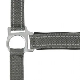 norton-equestrian-reflective-halfter