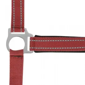 norton-equestrian-reflective-halfter