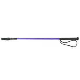 whip-go-twist-채찍