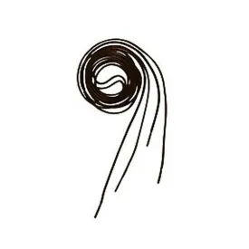 equitheme-120-lacets-elastiques