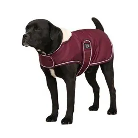 diego---louna-teddy-dog-jacket