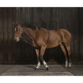 norton-equestrian-extensor-suau