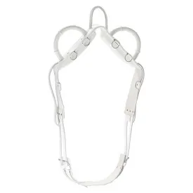norton-equestrian-vaulting-lunging-surcingle