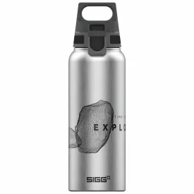 sigg-wmb-pathfinder-1l-pullo