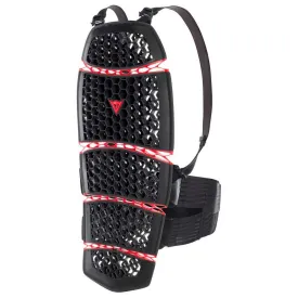 dainese-pro-armor-2.0-long-back-protector