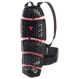 dainese-pro-armor-2.0-back-protector