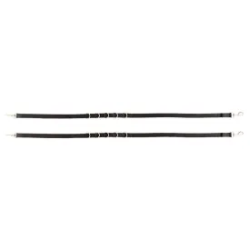 br-regnes-side-rings-without-elastic