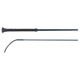 premiere-centaurus-dressur-pisk