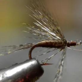 baetis-drowned-flyve