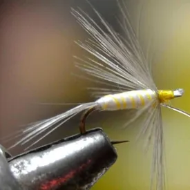 baetis-drowned-flyve
