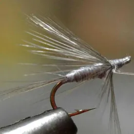 baetis-drowned-fly