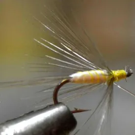 baetis-mosca-drowned