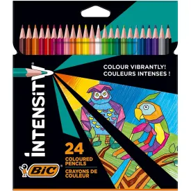 bic-case-24-peppes-intely-colors