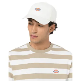 dickies-6-panel-logo-帽子