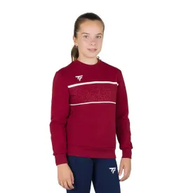 tecnifibre-moletom-team