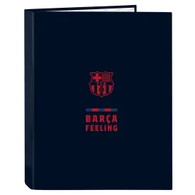 safta-ringbuch