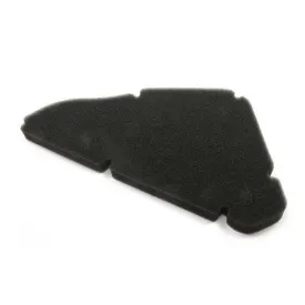 athena-s410170200002-air-filter