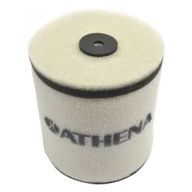 athena-s410210200038-air-filter