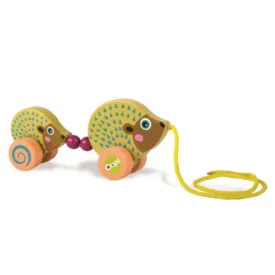 oops-einfach-familie--seeigel