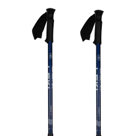 leki-eagle-poles