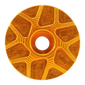 garbaruk-2019-stem-cap