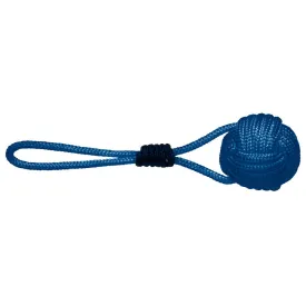 plam-cable-damarrage