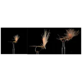 baetis-emergent-fr-vila-fly