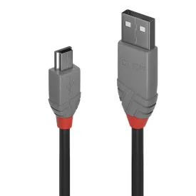 lindy-usb-a-mini-usb-sovitin-2-m