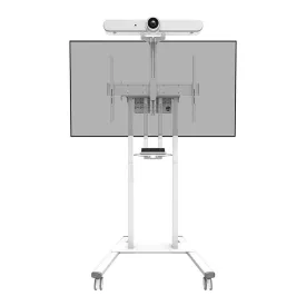 newstar-halter-afl-875wh1-videokonferencesystemsupport