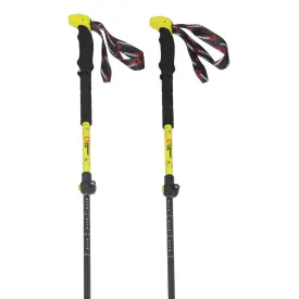 rock-experience-dynamic-x-poles