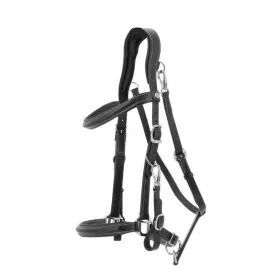 norton-equestrian-capezza-headcol-trekking