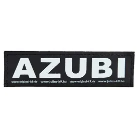 julius-k-9-personalized-安全带标签-2-单位