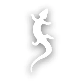 fixe-climbing-gear-kleiner-eidechsenaufkleber