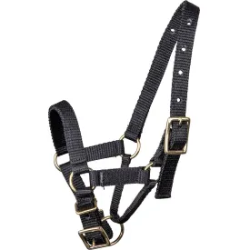 waldhausen-alpaka-halter