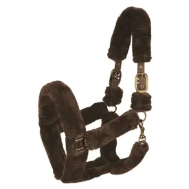 waldhausen-licol-cozy