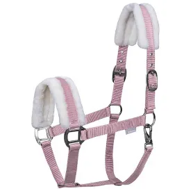 waldhausen-licol-first