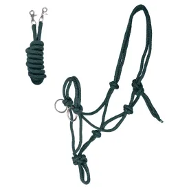 waldhausen-cabrestro-knot