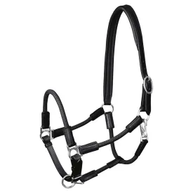 waldhausen-nevada-grime