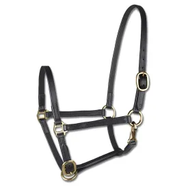 star-foal-leather-笼头
