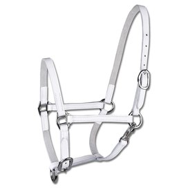 Star Foal Leather Halter