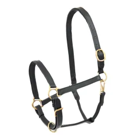 star-capezza-leather