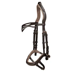 waldhausen-icelandic-anatomic-trans