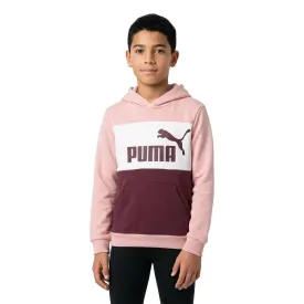 puma-sweat-a-capuche-ess-block-fl