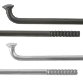 dt-swiss-raggi-stainless