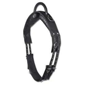 star-cingla-handle-lunging-synthetic