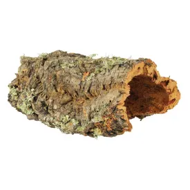 trixie-cork-plate-set