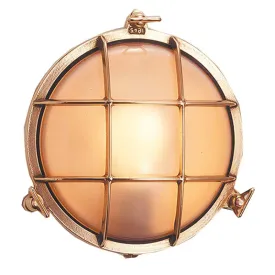 foresti---suardi-schildpadlicht-60w