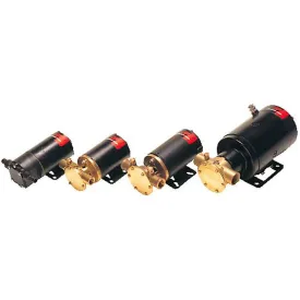 johnson-pump-f38b-19-impellerpump