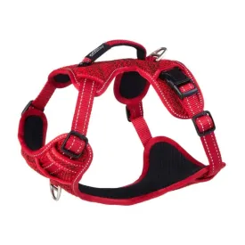 rogz-explore-sjx06-hundesele
