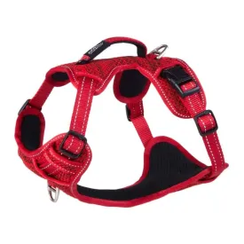 rogz-arnes-para-caes-explore-sjx14